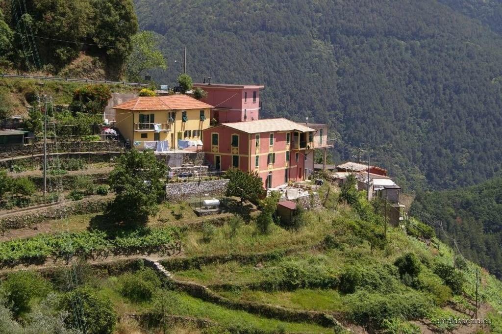 Ca Rosa De Drignana